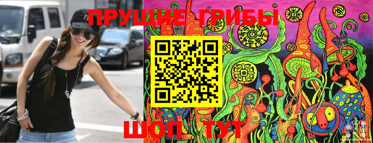 Электрогорск  Псилоцибиновые грибы Magic Shrooms  Вход с VPN  Галлюциногенные грибы Cubensis 